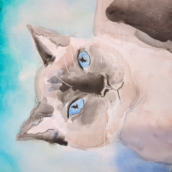 Original signed Watercolor. "Puss", Siamese cat. Pet Portrait. - Picture 3 of 9